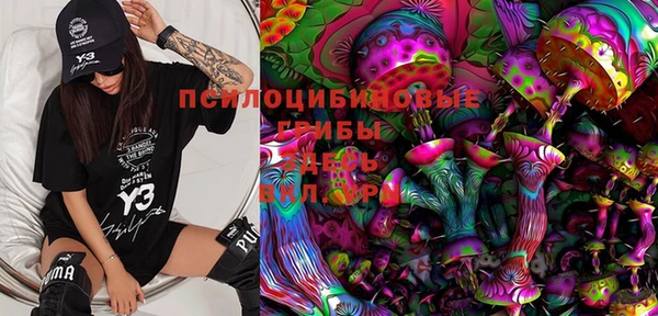 хмурый Новозыбков