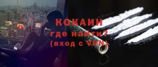 хмурый Новозыбков