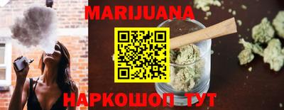 индика Бийск